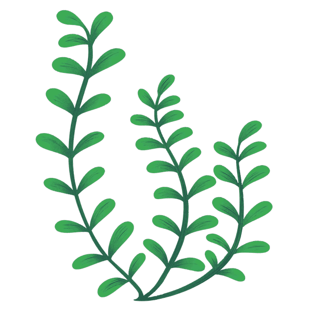 Personal Growth